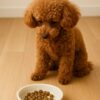 ご飯を残す犬
